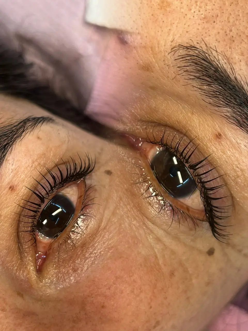 Lashesbel - foto 3