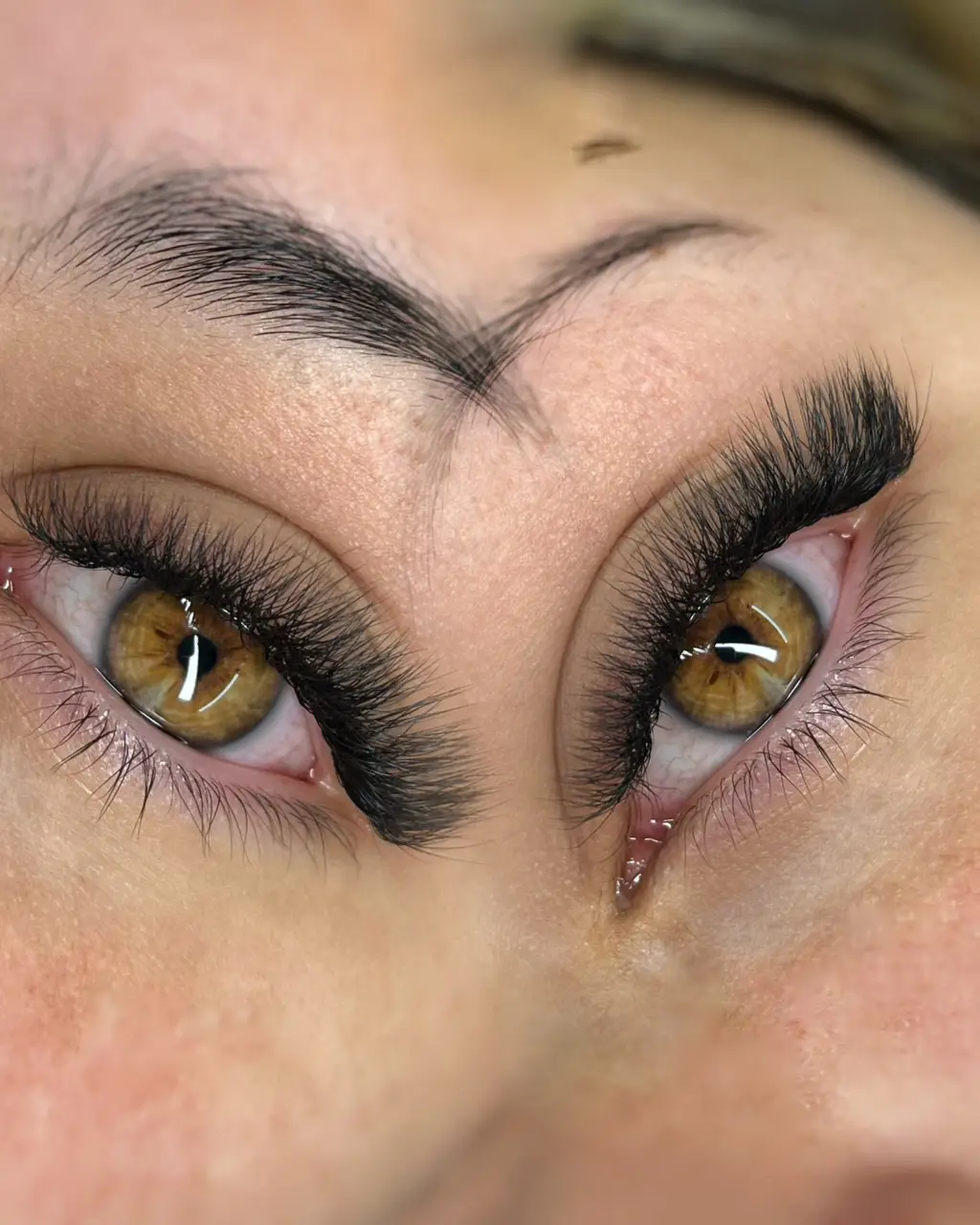 Lashesbel - foto 6