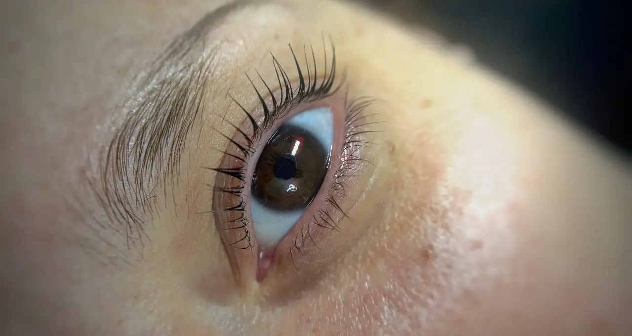 Kv Lashes&Brows - foto 8